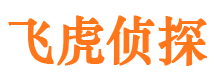 黔东南市侦探调查公司